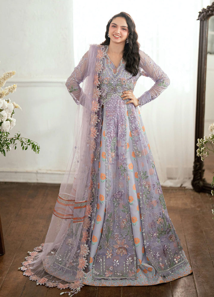 Shaam Shandar By Mushq Luxury Chiffon Unstitched 3 Piece Suits MQ25SC D-10 Rangeela Raag - Festive Collection