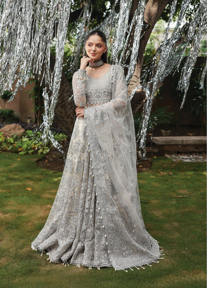 Dastangoi by Afrozeh Unstitched Formal Embroidered Net 3 Piece Suits  AF25DF D-6 Twinkle - Formal Collection
