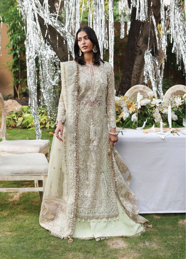 Dastangoi by Afrozeh Unstitched Formal Embroidered Organza 3 Piece Suits  AF25DF D-4 Soulhour - Formal Collection