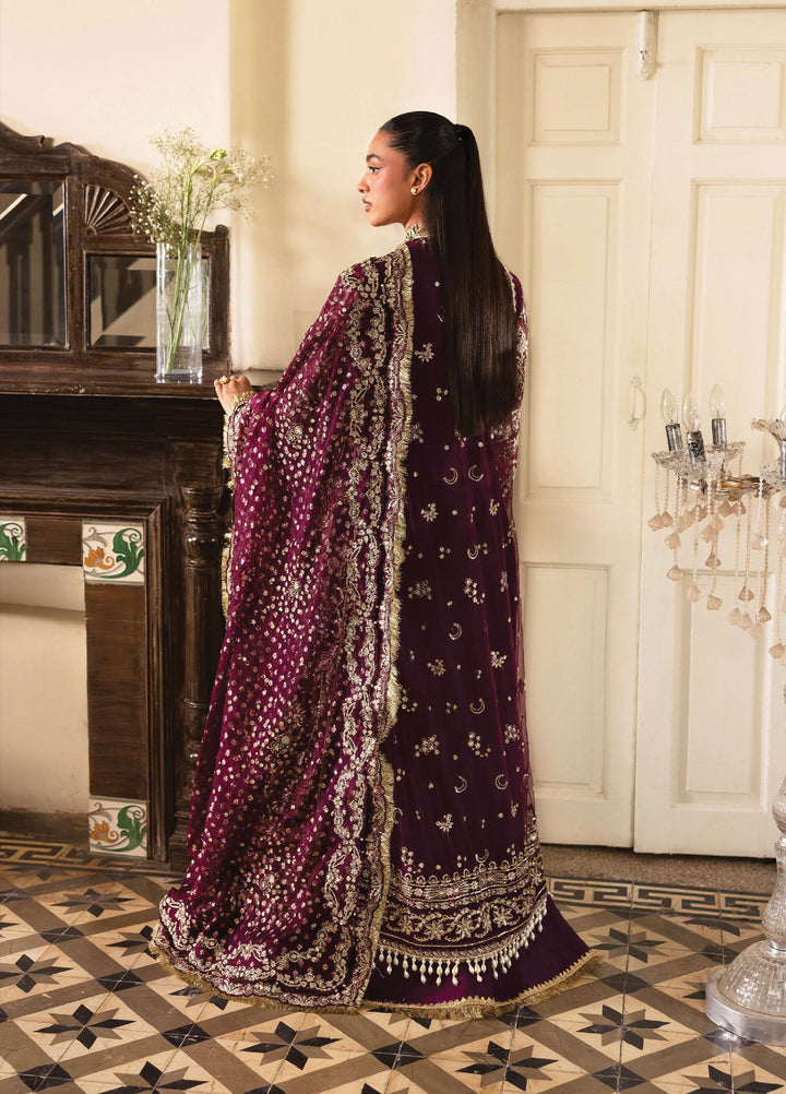 Dastangoi by Afrozeh Unstitched Formal Embroidered Raw Silk 3 Piece Suits  AF25DF D-5 Gildentide - Formal Collection
