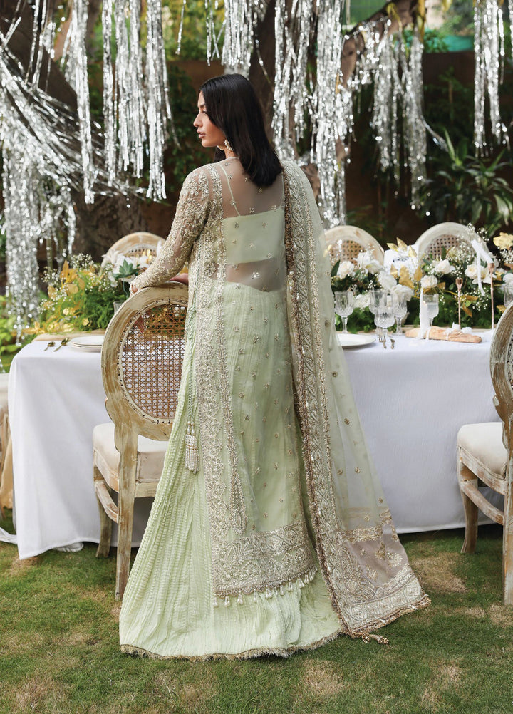 Dastangoi by Afrozeh Unstitched Formal Embroidered Organza 3 Piece Suits  AF25DF D-4 Soulhour - Formal Collection