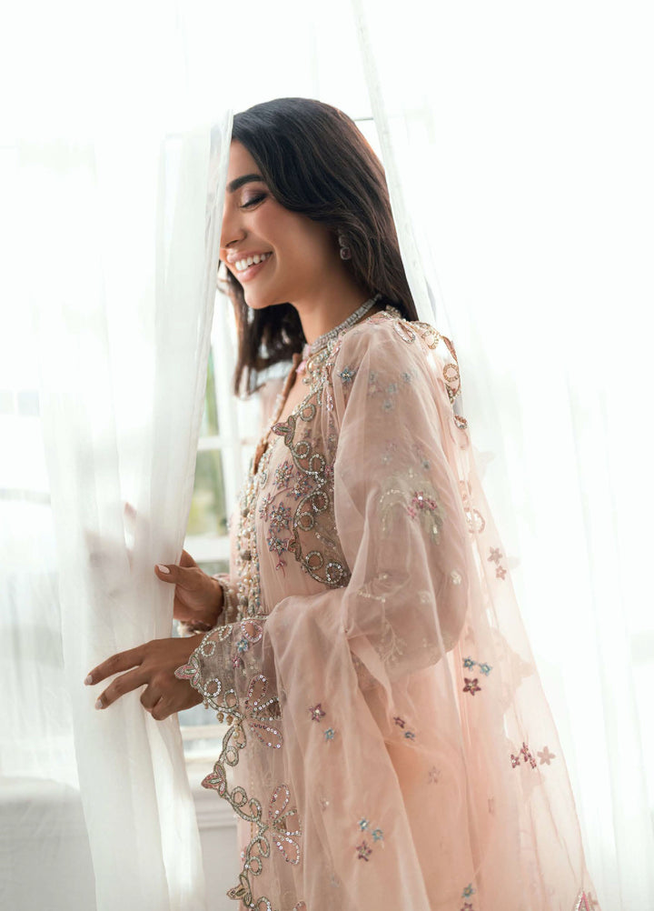 Shaam Shandar By Mushq Luxury Chiffon Unstitched 3 Piece Suits MQ25SC D-2 Shehnai - Festive Collection