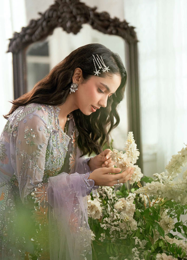 Shaam Shandar By Mushq Luxury Chiffon Unstitched 3 Piece Suits MQ25SC D-10 Rangeela Raag - Festive Collection