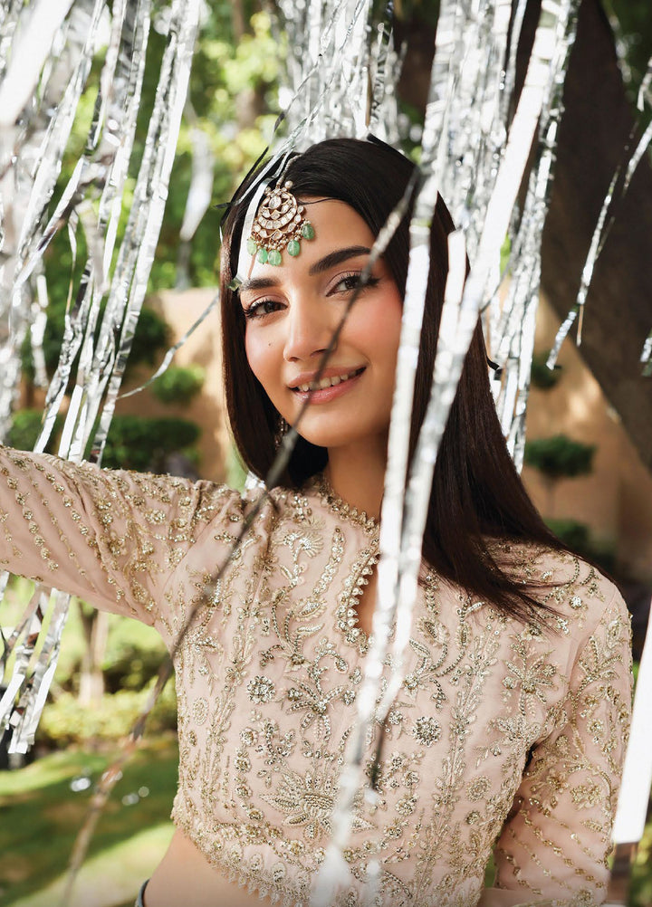 Dastangoi by Afrozeh Unstitched Formal Embroidered Organza 3 Piece Suits  AF25DF D-1 Petal Hour - Formal Collection