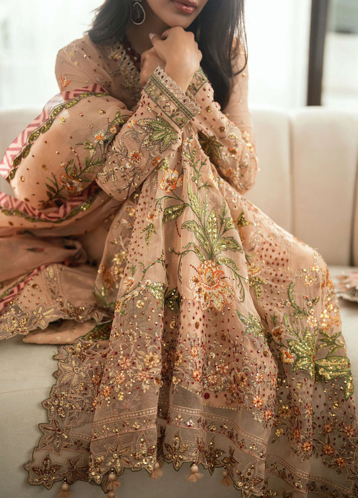 Shaam Shandar By Mushq Luxury Chiffon Unstitched 3 Piece Suits MQ25SC D-4 Tarannum - Festive Collection