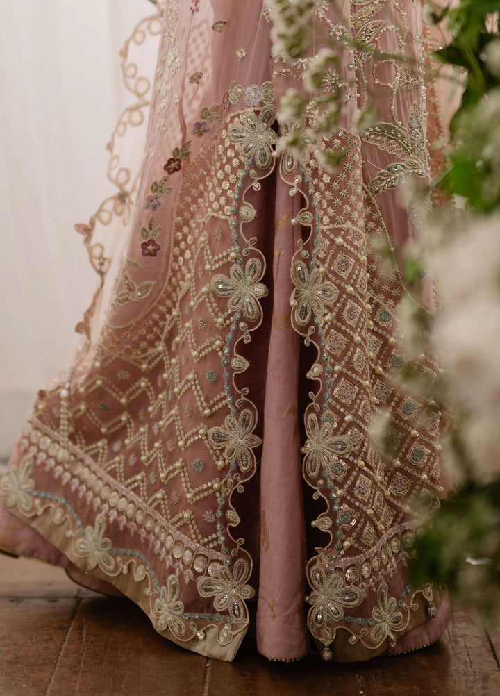 Shaam Shandar By Mushq Luxury Chiffon Unstitched 3 Piece Suits MQ25SC D-2 Shehnai - Festive Collection