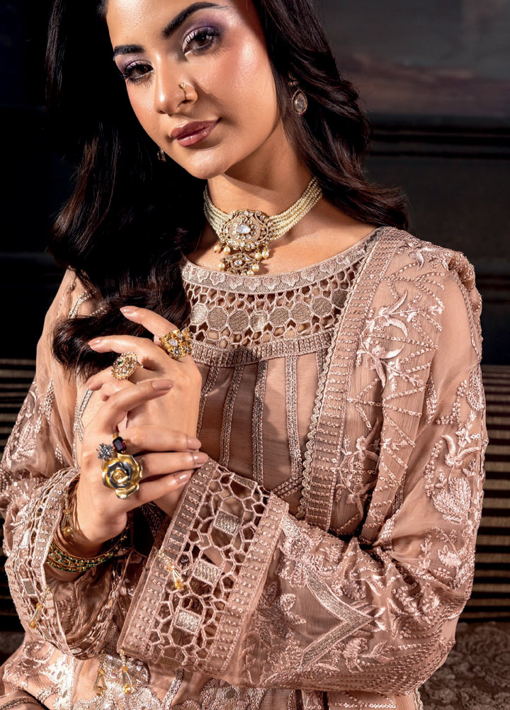 Aura by Zebtan Embroidered Chiffon Suits Unstitched 3 Piece ZB25AF AR-02 - Festive Collection