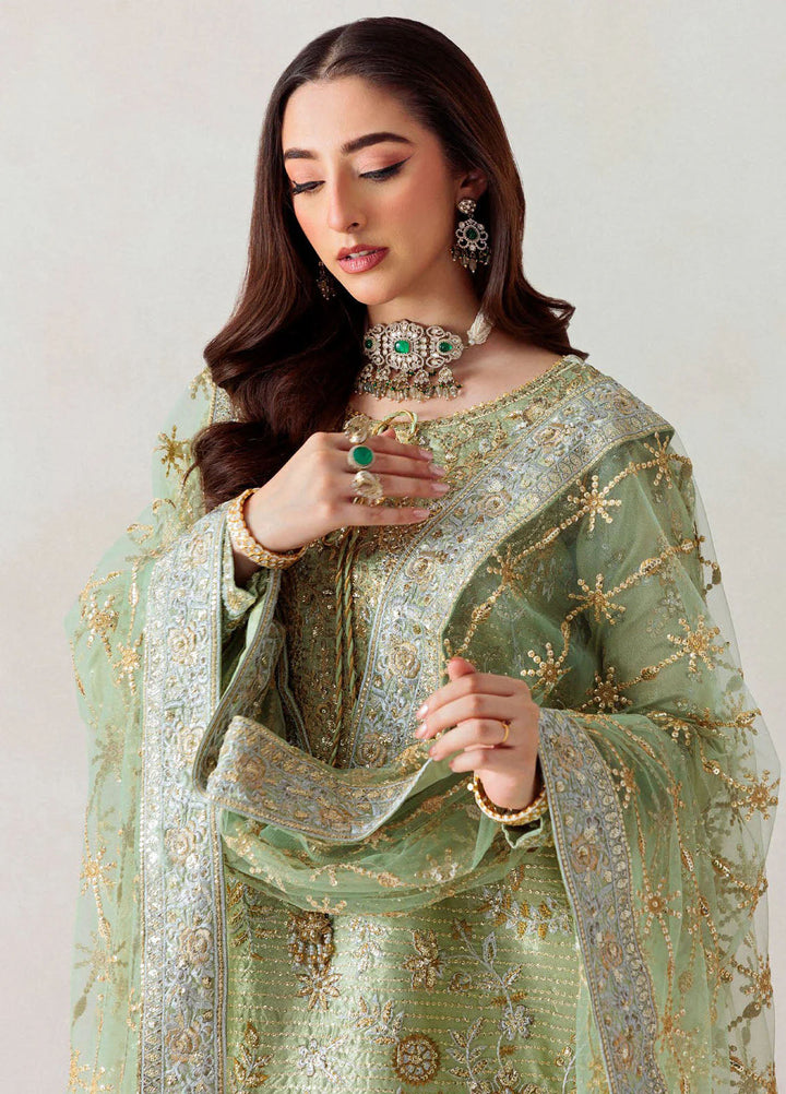 Aik Atelier Embroidered Tissue Suits Unstitched 3 Piece AIK25EF Vl1 D-04 - Formals Collection