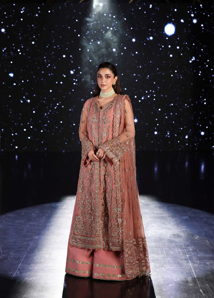 Stardom by Elaf Unstitched Luxury Formals Embroidered Net 3 Piece Suits  EL25SF D-ESH-05 Beyond Beauty - Formal Collection