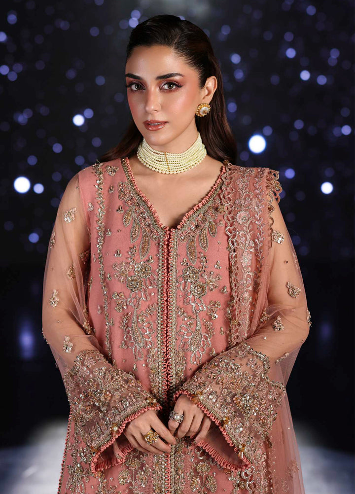 Stardom by Elaf Unstitched Luxury Formals Embroidered Net 3 Piece Suits  EL25SF D-ESH-05 Beyond Beauty - Formal Collection