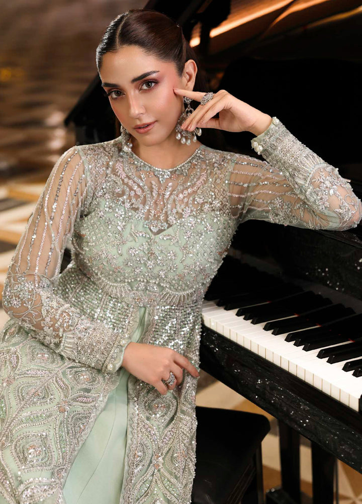 Stardom by Elaf Unstitched Luxury Formals Embroidered Net 3 Piece Suits  EL25SF D-ESH-10 Diana - Formal Collection