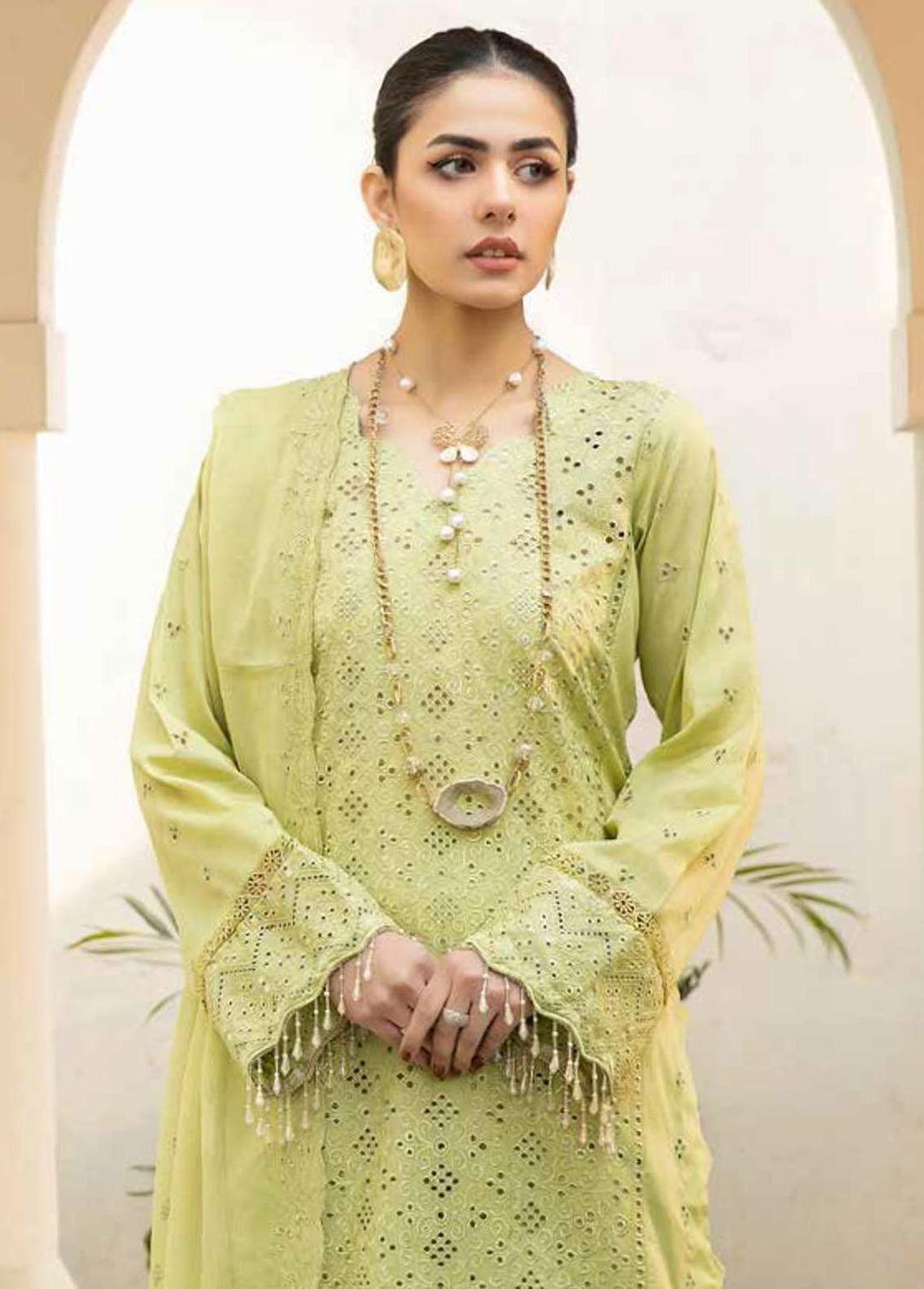 Aafreen By Riaz Arts Embroidered Lawn Suits Unstitched 3 Piece RA23A AF-02 - Summer Collection