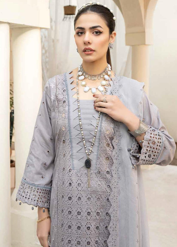 Aafreen By Riaz Arts Embroidered Lawn Suits Unstitched 3 Piece RA23A AF-06 - Summer Collection