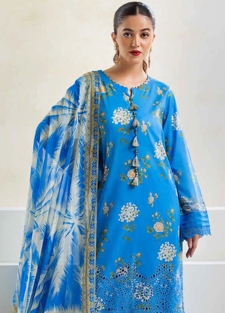 Aafreen By Riaz Arts Chikankari Lawn Suit Unstitched 3 Piece RA24A AF-89 - Summer Collection