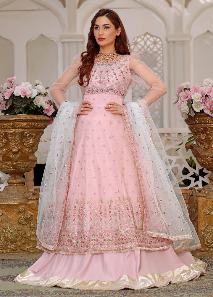 Aaina By Awwal Embroidered Net Suits Unstitched 3 Piece AW23A D-07 Reyna - Luxury Collection