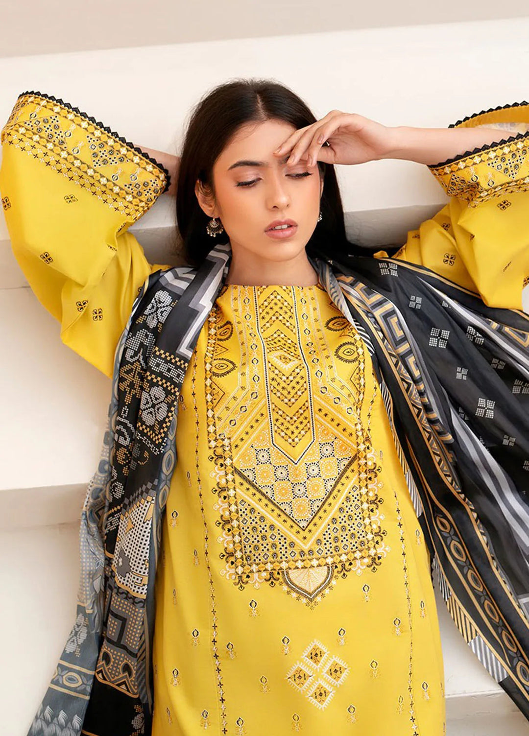Aaina by Bin Ilyas Embroidered Lawn Suit Unstitched 3 Piece BI25AL 86 B - Summer Collection