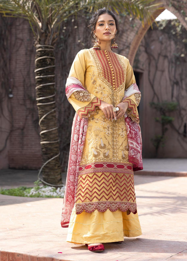 Aangan by Noorangi Embroidered Lawn Suits Unstitched 3 Piece NR22ANG Sadbarg - Luxury Collection