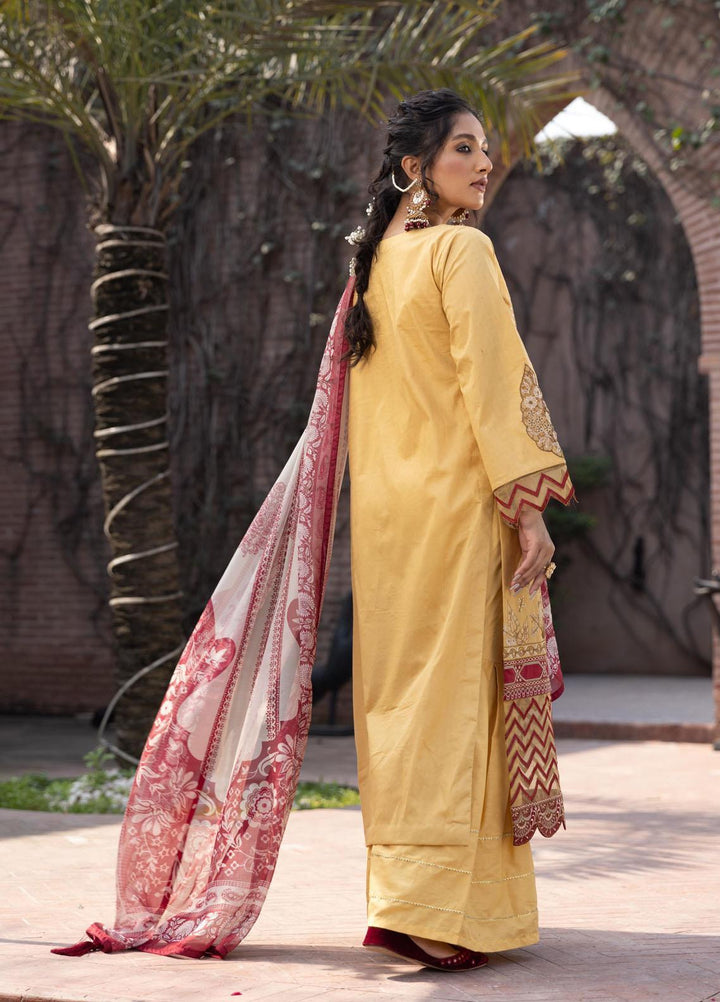 Aangan by Noorangi Embroidered Lawn Suits Unstitched 3 Piece NR22ANG Sadbarg - Luxury Collection