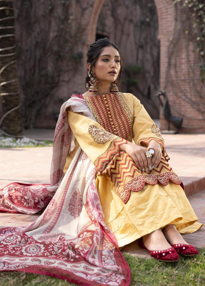 Aangan by Noorangi Embroidered Lawn Suits Unstitched 3 Piece NR22ANG Sadbarg - Luxury Collection