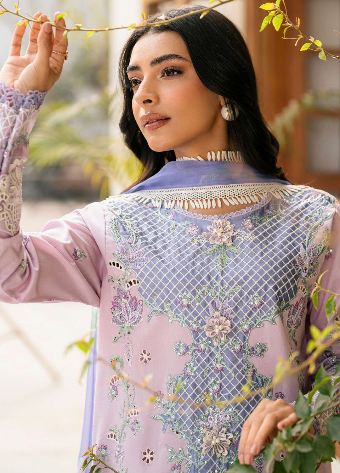 Aashiyana by Roheenaz Embroidered Lawn Suits Unstitched 3 Piece RN25AL RNZ-02 B Hafsa - Summer Collection