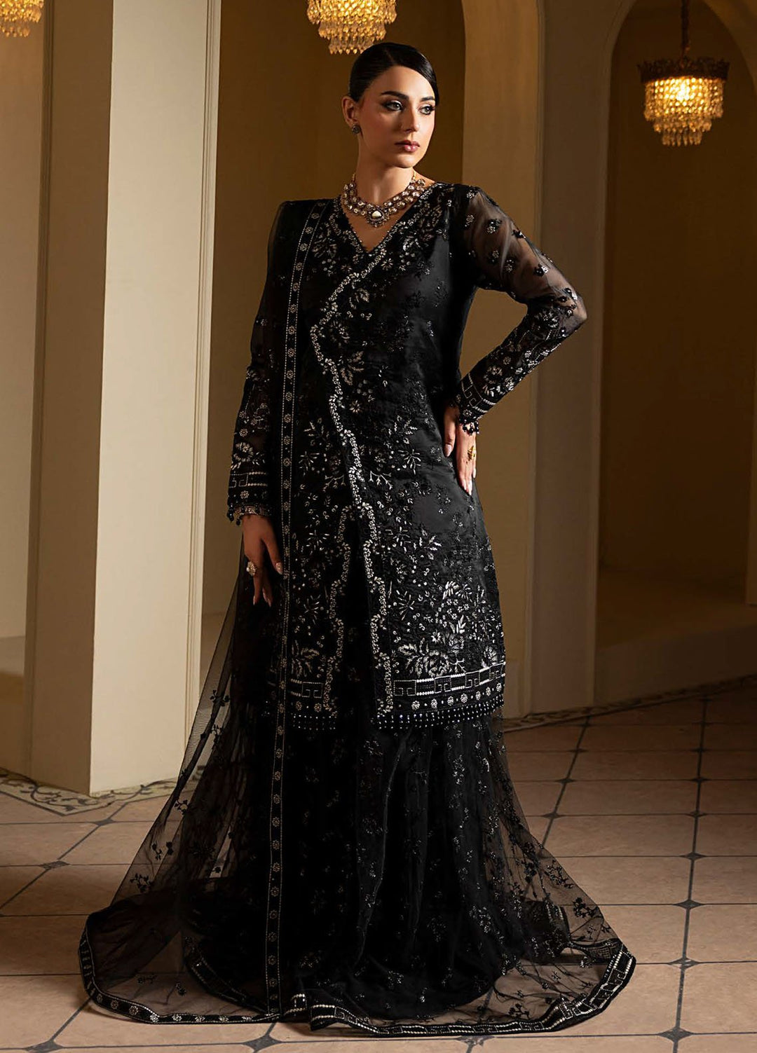 Aashnai by Lavish Embroidered Organza Suits Unstitched 3 Piece LVP24AC D-01 Charcoal Luxe - Formals Collection