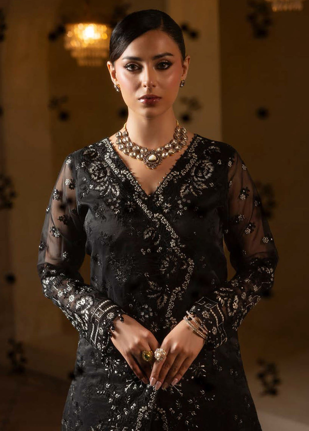 Aashnai by Lavish Embroidered Organza Suits Unstitched 3 Piece LVP24AC D-01 Charcoal Luxe - Formals Collection
