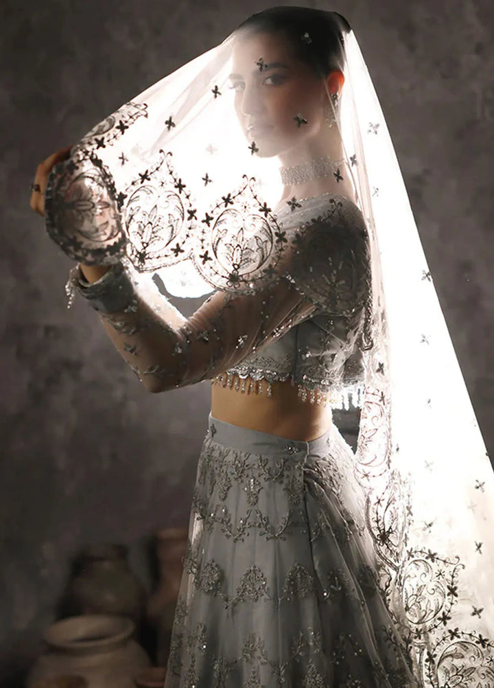 Aatish By Saffron Embroidered Net Suit Unstitched 4 Piece SFR24A D-06 Rang-e-Barq - Formal Collection