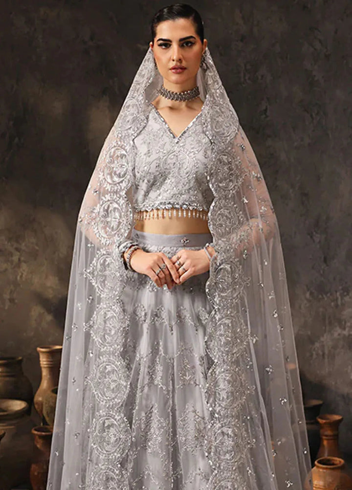 Aatish By Saffron Embroidered Net Suit Unstitched 4 Piece SFR24A D-06 Rang-e-Barq - Formal Collection