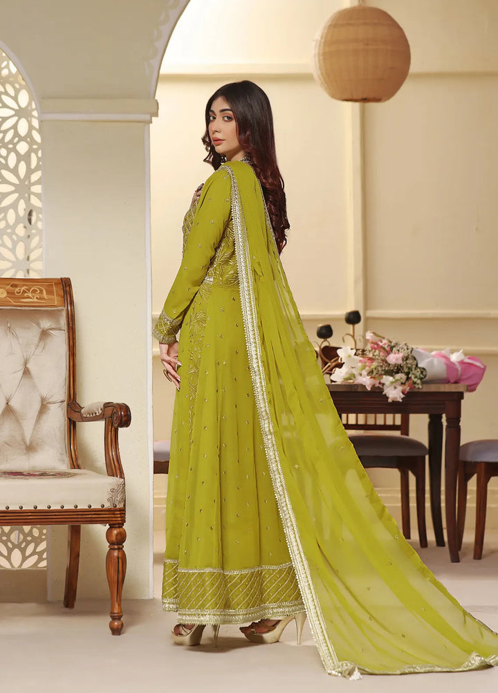 Abaan Zohan Pret Embroidered Chiffon 3 Piece Suit Mehraab Dhaani