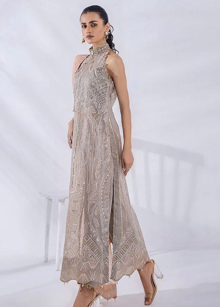 Afreen By Malook Embroidered Organza Suits Unstitched 4 Piece MLK23AF Aaira - Festive Collection