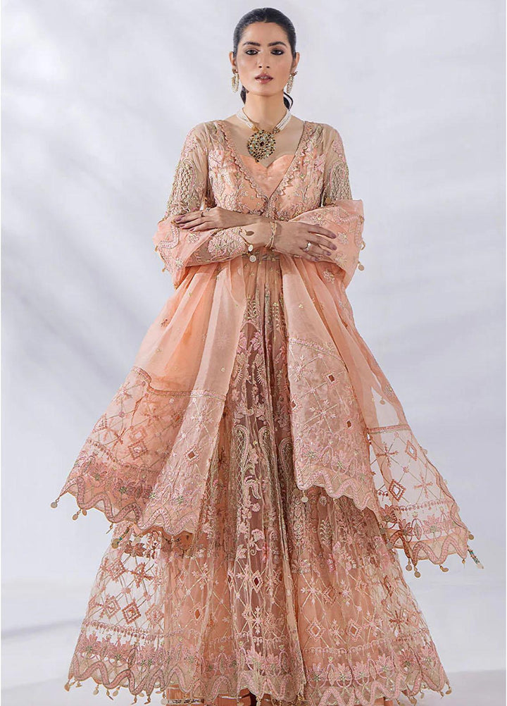 Afreen By Malook Embroidered Net Suits Unstitched 3 Piece MLK23AF Daisy - Festive Collection