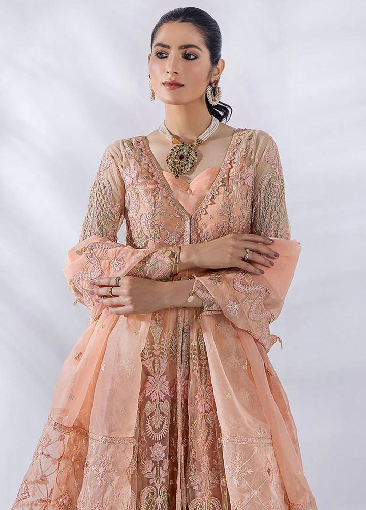 Afreen By Malook Embroidered Net Suits Unstitched 3 Piece MLK23AF Daisy - Festive Collection