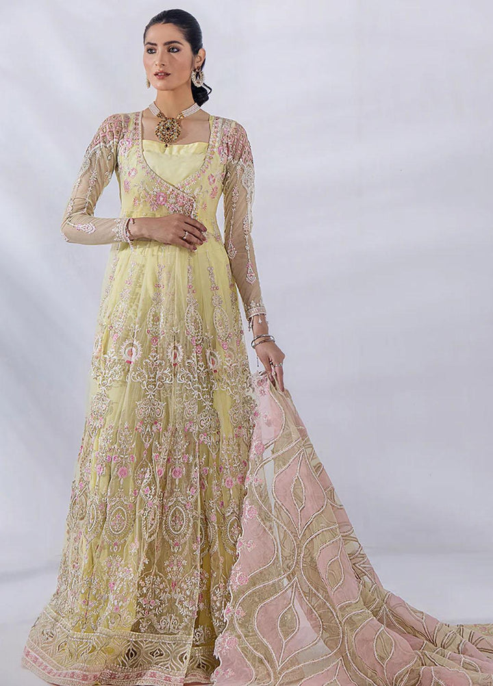 Afreen By Malook Embroidered Net Suits Unstitched 3 Piece MLK23AF Diara - Festive Collection