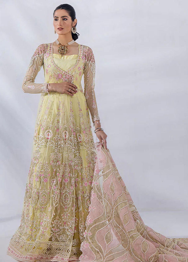 Afreen By Malook Embroidered Net Suits Unstitched 3 Piece MLK23AF Diara - Festive Collection