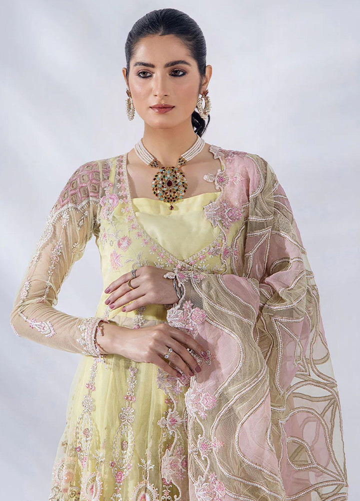 Afreen By Malook Embroidered Net Suits Unstitched 3 Piece MLK23AF Diara - Festive Collection