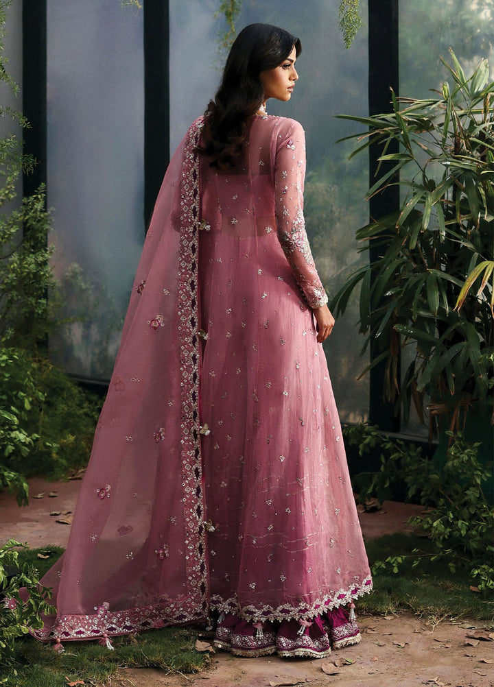 Afrozeh Embroidered Chiffon Suits Unstitched 3 Piece AF25LF D-01 Seraira - Formals Collection