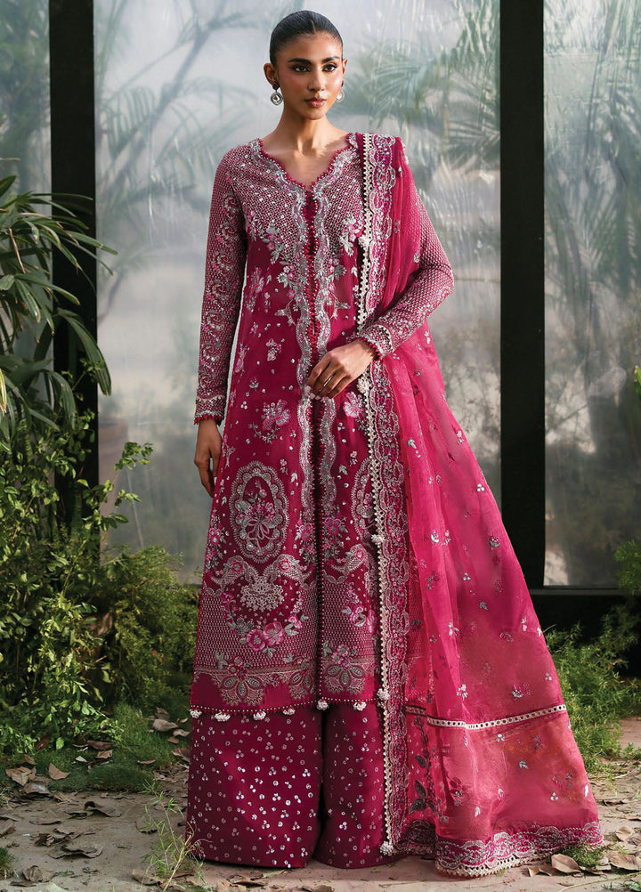Afrozeh Embroidered Chiffon Suits Unstitched 3 Piece AF25LF D-03 Rowan - Formals Collection