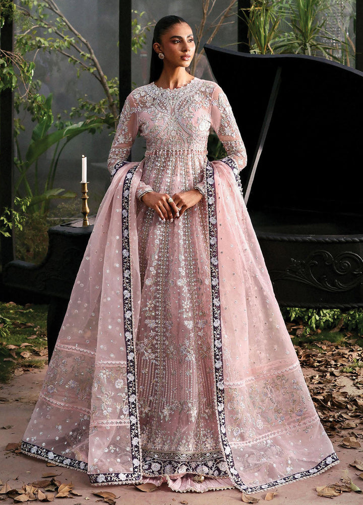 Afrozeh Embroidered Chiffon Suits Unstitched 3 Piece AF25LF D-06 Zeal - Formals Collection