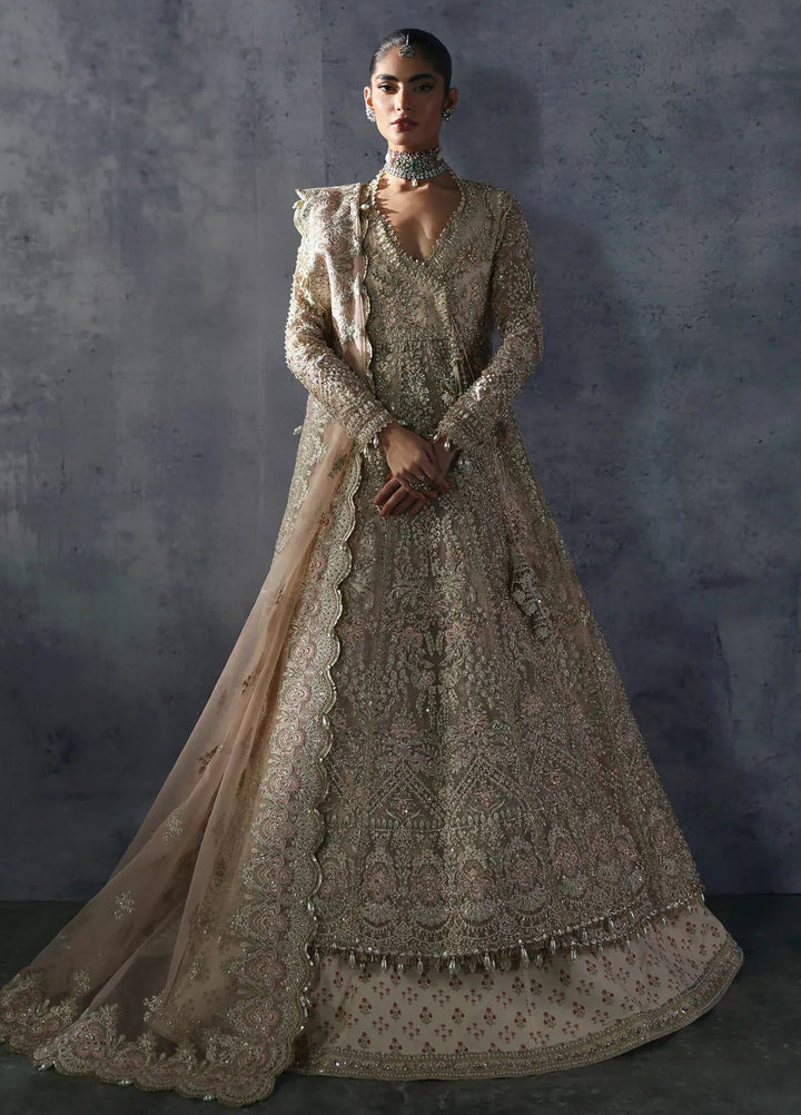 Afrozeh Embroidered Suits Unstitched 3 Piece D-05 Emilia - Bridal Collection