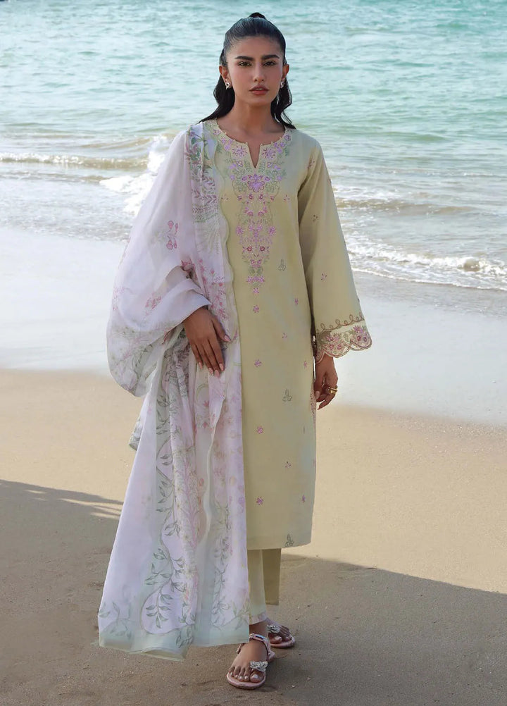 Afsanah by Seran Embroidered Lawn Suit Unstitched 3 Piece SRN25AS D-06 Arya - Summer Collection