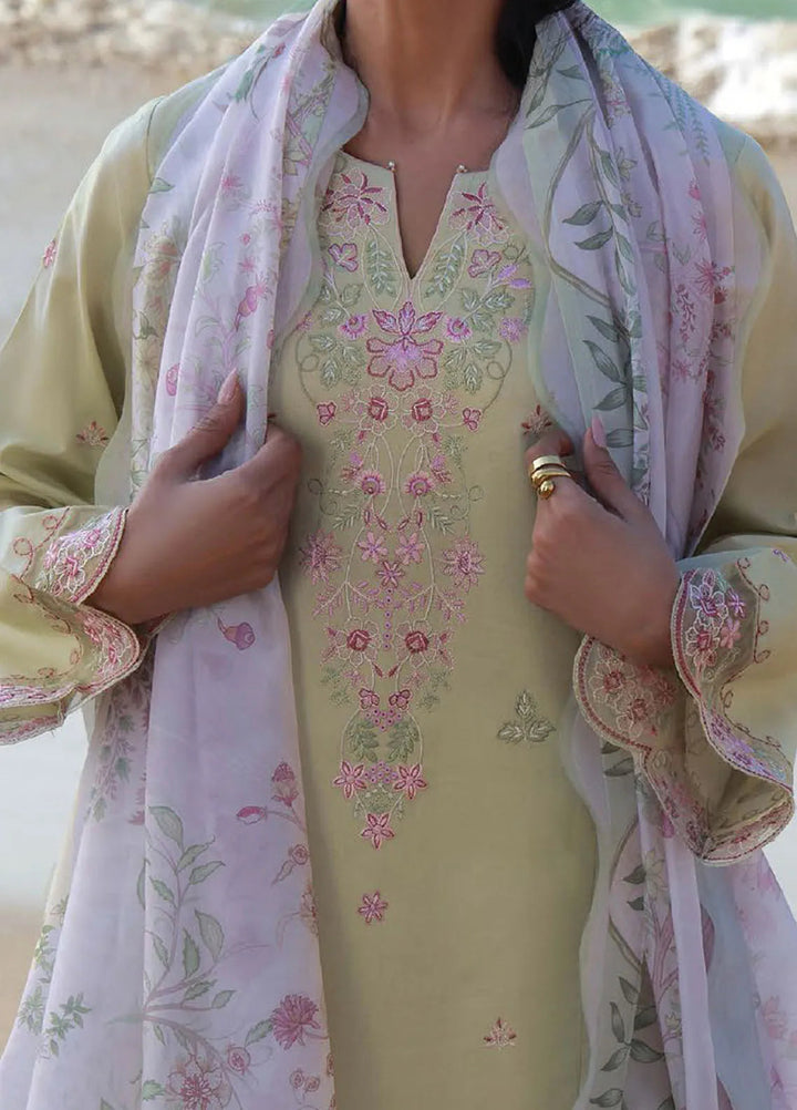 Afsanah by Seran Embroidered Lawn Suit Unstitched 3 Piece SRN25AS D-06 Arya - Summer Collection