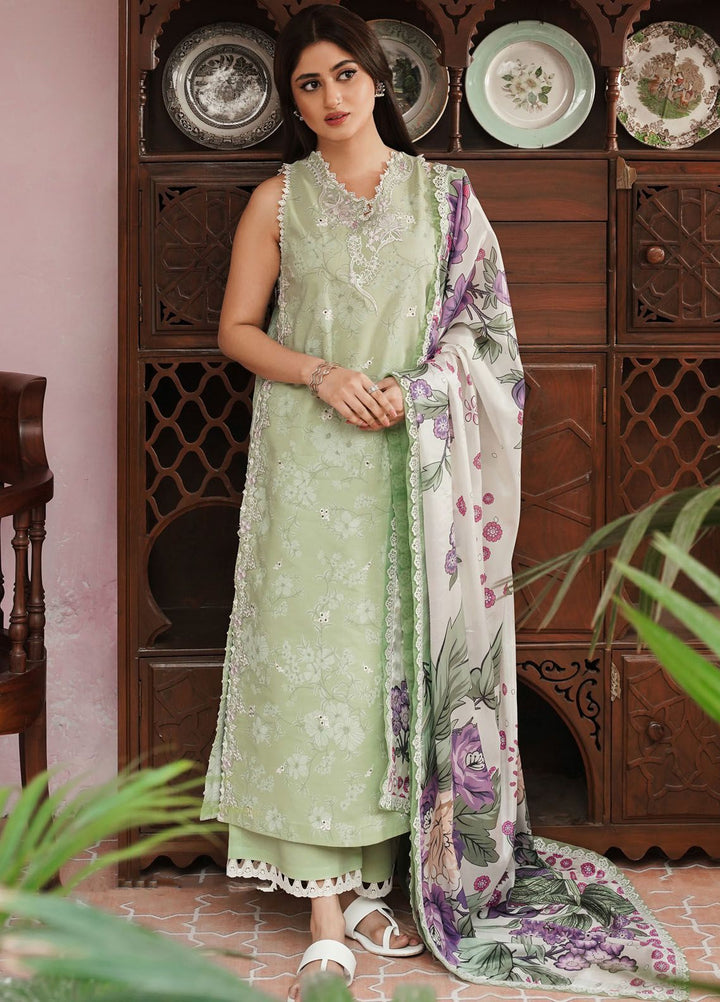 Afsanah by Seran Embroidered Lawn Suits Unstitched 3 Piece SRN24AF D-02 Maya - Spring Summer Collection