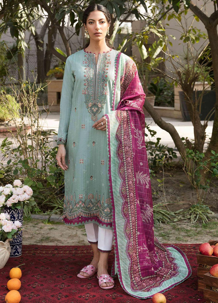 Afsanah By Seran Embroidered Lawn Suits Unstitched 3 Piece SRN23A D-12 Jabeen - Summer Collection