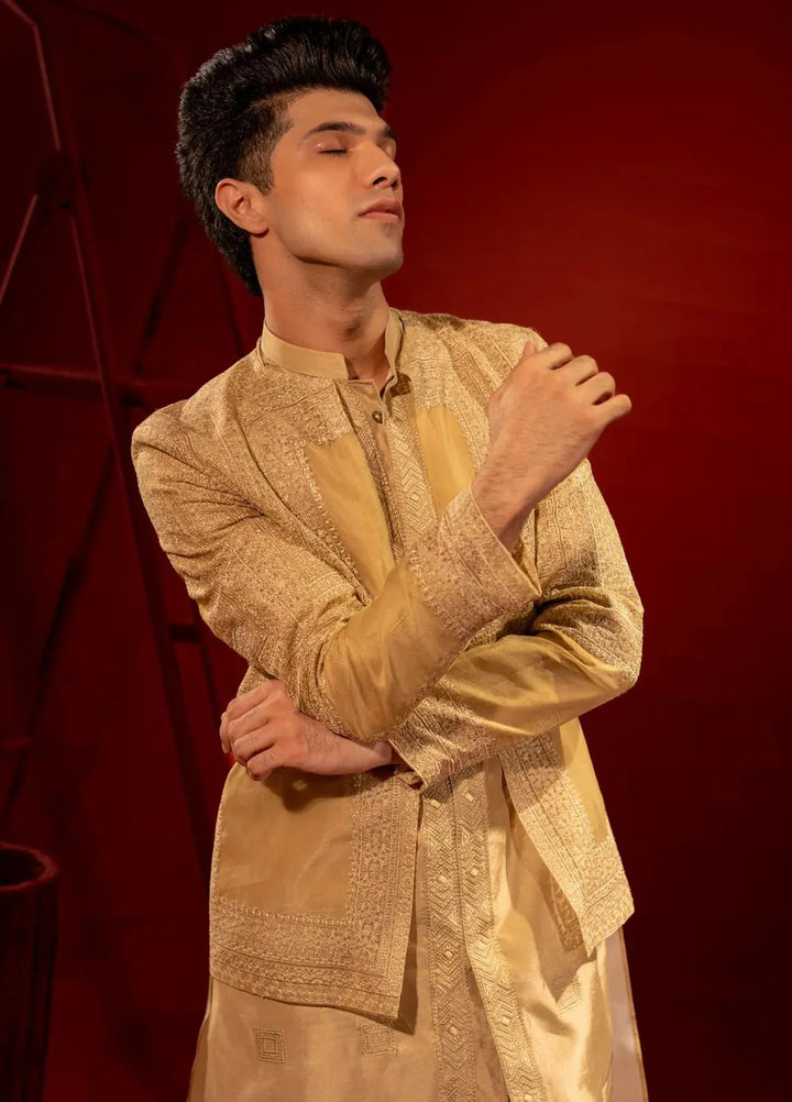 Ahmad Raza Embroidered Men Prince Suit - AR9022