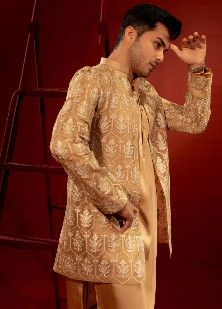 Ahmad Raza Embroidered Men Prince Suit - AR9024