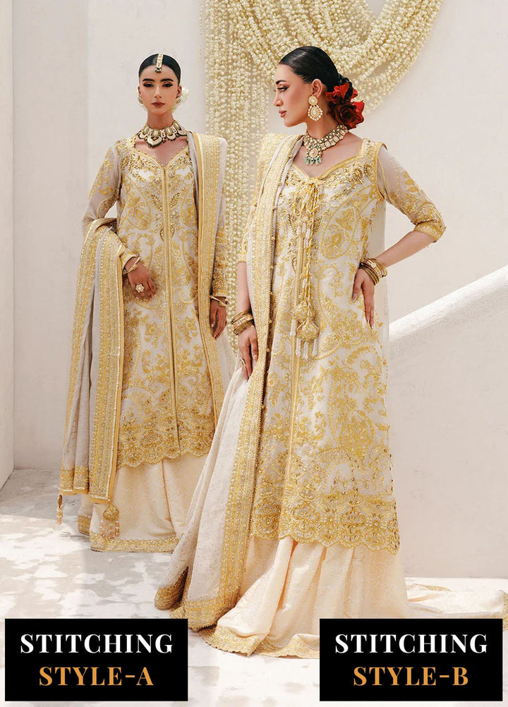 Aik Atelier Embroidered Khaadi Net Suits Unstitched 3 Piece AIK25WU D-03 - Formals Collection