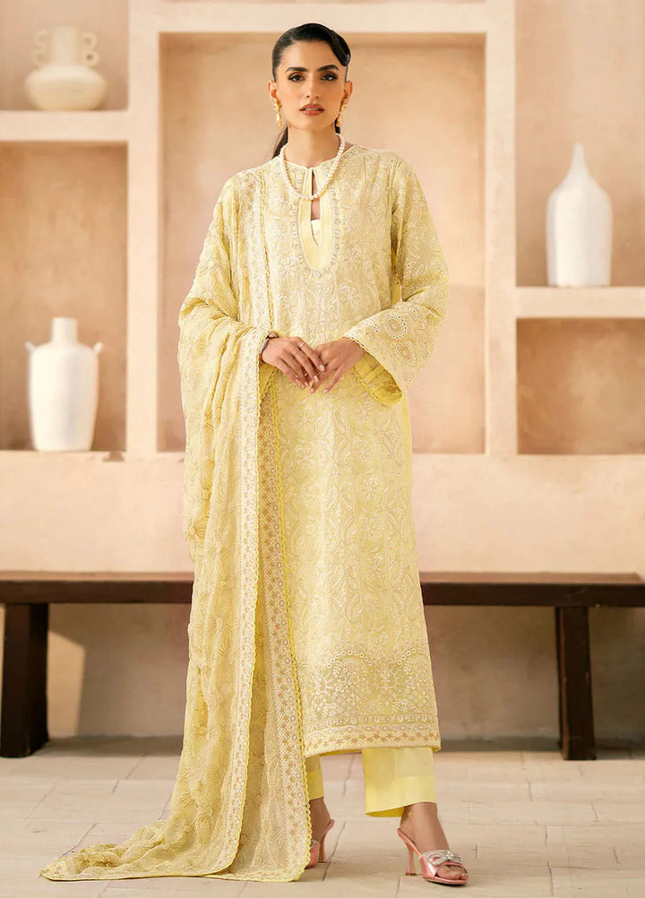 Aik Atelier Embroidered Lawn Suit Unstitched 3 Piece AIK24E LOOK 03 A - Summer Collection