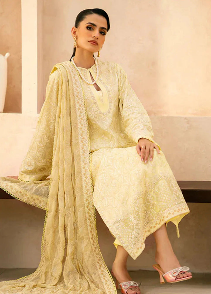 Aik Atelier Embroidered Lawn Suit Unstitched 3 Piece AIK24E LOOK 03 A - Summer Collection