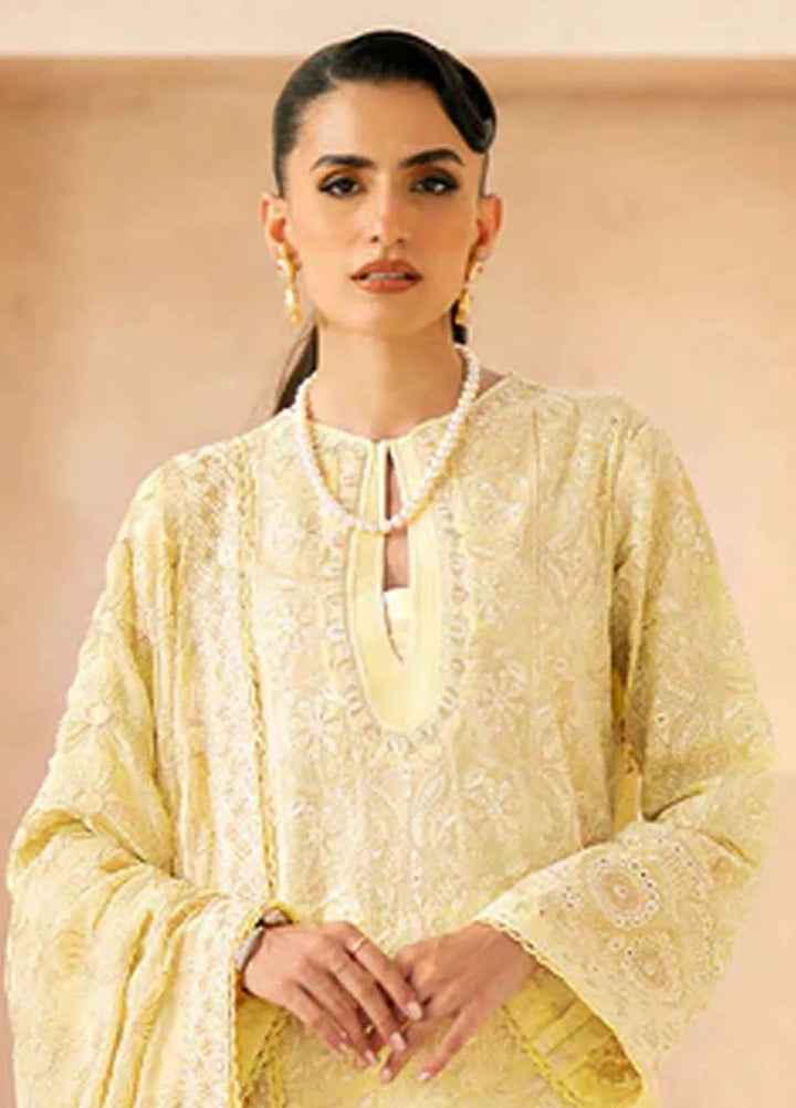 Aik Atelier Embroidered Lawn Suit Unstitched 3 Piece AIK24E LOOK 03 A - Summer Collection