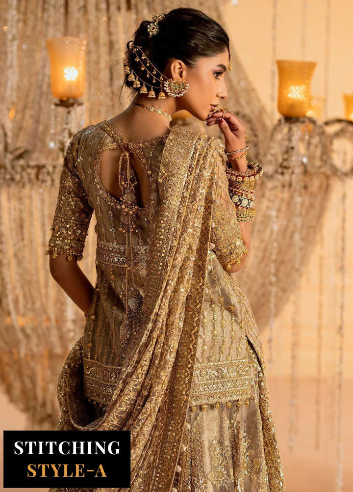 Aik Atelier Embroidered Net Suit Unstitched 3 Piece AIK25WF Look-05 - Formals Collection